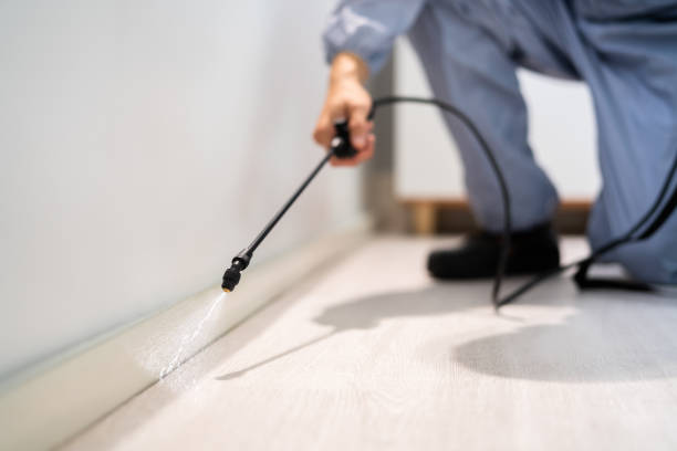 Licensed Pest Control service in Tuttle, OK - Nex Pest Control
