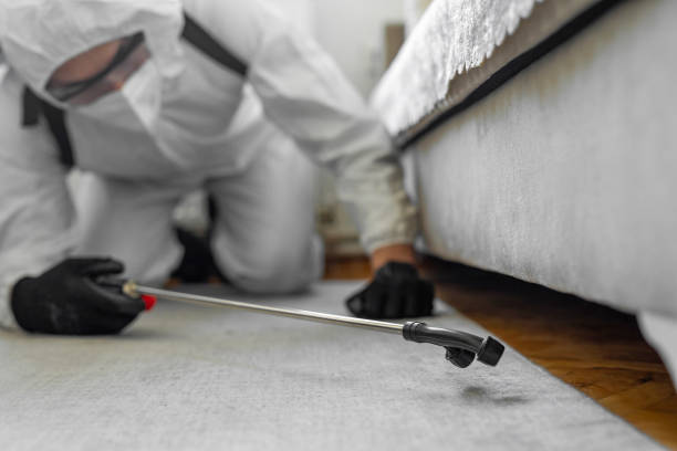 Professional Pest Control technician working in Tuttle, OK