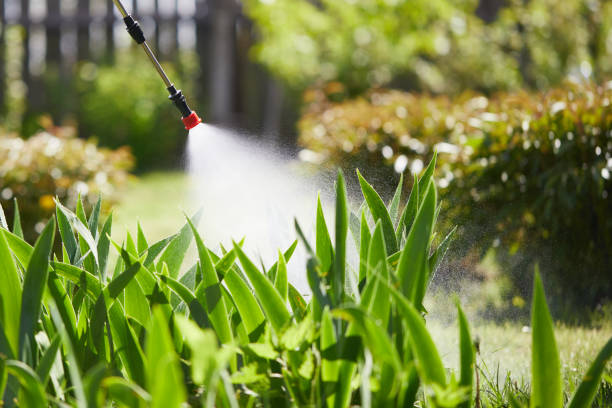 24/7 Emergency Pest Control experts in Tuttle, OK