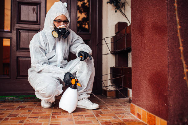 Reliable Pest Control contractor in Tuttle, OK by Nex Pest Control