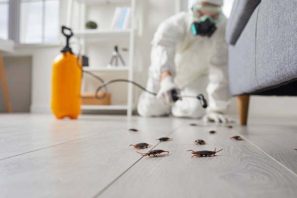 Affordable Pest Control solutions in Tuttle, OK