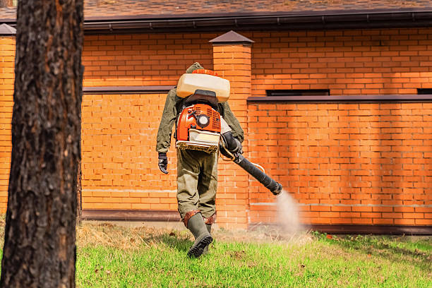 Top rated local Pest Control specialists in Tuttle, OK